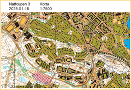 Nattcupen 3 Karta Korta 1 7500
