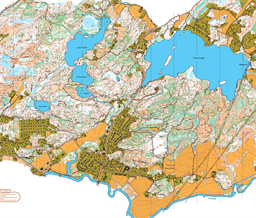 Lipered-Rödjan-Skogsbo 250101