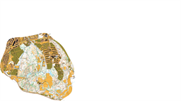 Bondberget_2024_rensad Ocad 11