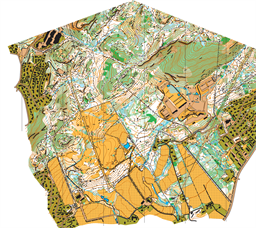 2023-04-24 Master Kubbetjørn