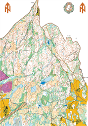 Holt_revisjon20241226