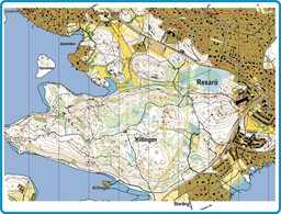Nattråttan feb 2025 Bakgrund 1 Blank karta