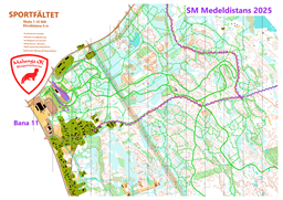 SM Medel Malung 10.Bana 11