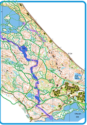 Løypenett 20250126 NM-HL Høydalsmo - kopi