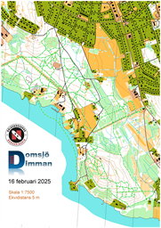 Domsjödimman bakgrund