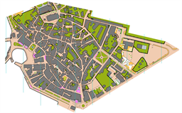 T1 - Map(Livelox)