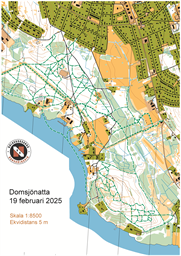 Domsjödimman bakgrund