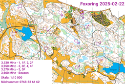 foxoring250222