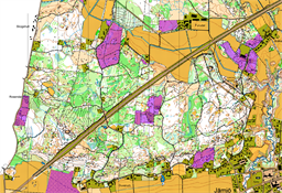 TORHAMNSLANDET  Original 20250301 Ocad2018