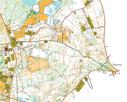 Stenkumla 2025, Broruset