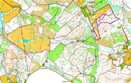 Romeleträffen Lång