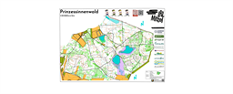 Prinzessinnenwald