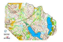 SWE_OL_130325_a4 utsnutt