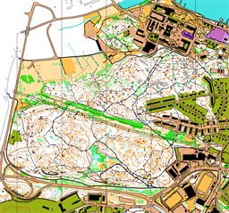 Stadssskogen-Tingstuhöjden 2023