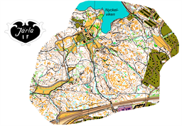 Utsnitt Ungdomsserien