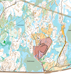 Ämtmossen_2025-04-25