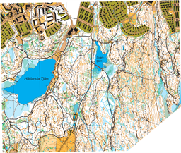 Utsnitt Sommarserien nr 1_2025