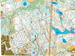 Skogskarlarna_landehof