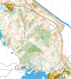 ORIGINAL_Mora_Väst_med_Venjan_ISOM2017-6-2_20250512_ocad12 (4)