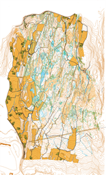 Haugene Vest