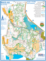 BeechHill_10000Scale_CurrentClone