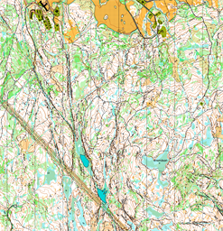 20241128-Kjekstadmarka.ocd-11