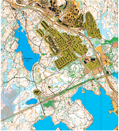 Vårserien utg 20250513