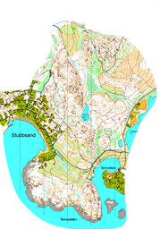 Utsnitt medel 250511