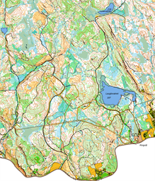 Utsn Lein Freidigstafetten