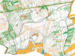 Les_StakovyPaseky_20240210