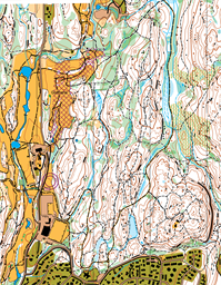 Pinnåsen