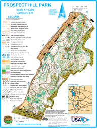 Prospect Hill 2019 modified