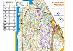 Torsdagstrening 5. juni 2025.Løype A_B300dpi