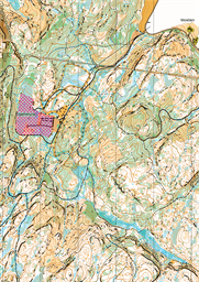 Ungdomsløp 12.6.25
