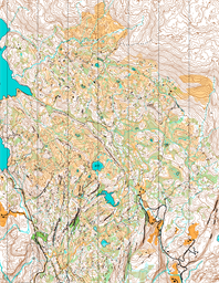 Totræna_2025