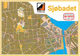 Sjøbadet
