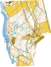 Skålhamra stor ocd11