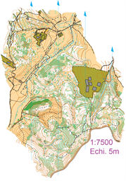 Poiana_2024