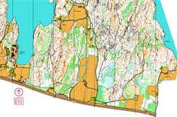 Henestangen  2025 N