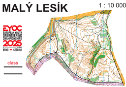 maly.lesik