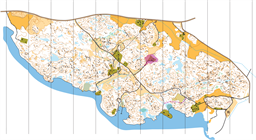 Svärdsklova rev 20 06 2025