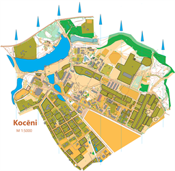 Kocēni