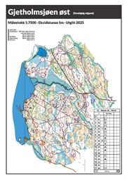 Gjetholmsjøen øst