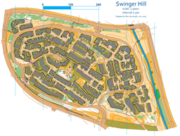 Swinger Hill