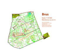 Brus