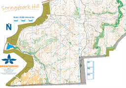 Stringybark Hill