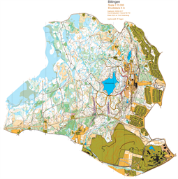 Billingen 250719 tävlingskarta