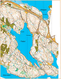Flaten Kartutsnitt