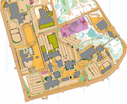 Sprint Training '25