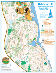 Baldwin Hill_10000Scale_CurrentPrintClone